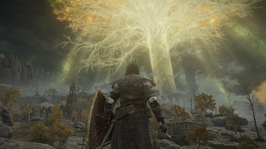 Image Descriptor: My character, clad in leather and metal armour with a large shield and katana, stand beneath the golden rays of a distant magical tree. All sorts of structures, forests and mountains can be seen around the environment.
